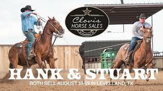 Clovis Horse Sale  Wilson Cattle Co Horses [upl. by Waldman]