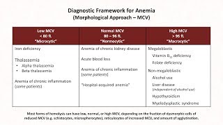 Anemia Lesson 1  Diagnostic Frameworks [upl. by Yht]