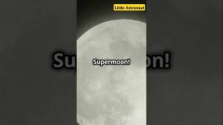 November Night Sky Events Supermoon Meteor Showers amp More [upl. by Mendive75]