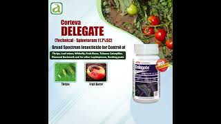 Top Insecticide for Controlling Pests ThripsLeafMinerwhitefly [upl. by Jasisa]