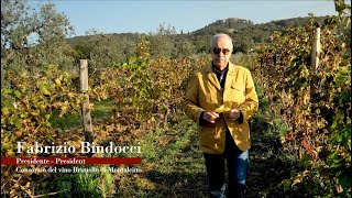 Benvenuto Brunello 2022  Fabrizio Bindocci  Presidente Consorzio del vino Brunello di Montalcino [upl. by Amhser938]