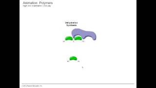 Dehydration Synthesis and Hydrolysis [upl. by Elman621]