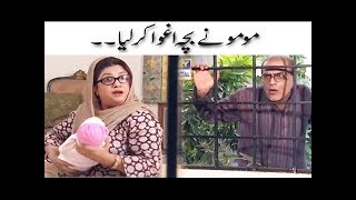 Momo Ne Baccha Aghwa Karliya  Mehmood Sahab  Bulbulay [upl. by Silin]