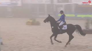 Brunetti Z World Championship 5yo  final [upl. by Dihsar]