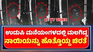 UDUPI LEOPARD ATTACK ON DOG CCTV VIDEO  ಮನೆಯಂಗಳದಲ್ಲಿ ಮಲಗಿದ್ದ ನಾಯಿಯನ್ನು ಹೊತ್ತೊಯ್ದ ಚಿರತೆ  ಕಹಳೆನ್ಯೂಸ್ [upl. by Ynneb]