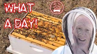 Bad day of beekeeping Removing my Apivar treatment [upl. by Crescin]