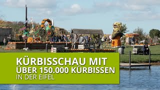 Kürbisschau mit über 150000 Kürbissen [upl. by Emory17]