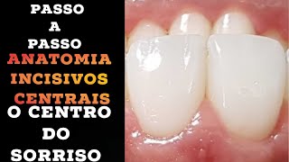 🛑ACERTANDO A ANATOMIA DO INCISIVO CENTRAL O CENTRO DO SORRISO✍🤫DICAS TOTALMENTE PRÁTICAS [upl. by Jackson]