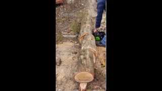 80V Greenworks Chainsaw [upl. by Lymann17]