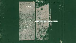 Tortoise  Djed Bruise Blood Mix [upl. by Merrilee565]