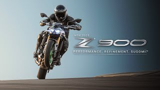 The New 2025 Z900 ABS  Full Launch Reveal [upl. by Ynahirb577]