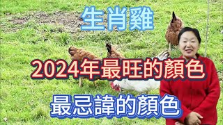 生肖雞！2024【龍年】最旺的顏色是什麼？屬雞人在2024年最忌諱什麼顏色呢？用對顏色！2024一整年都有好運勢！讓自己錢財大旺！順順利利！生肖 顏色 運勢 [upl. by Renny]