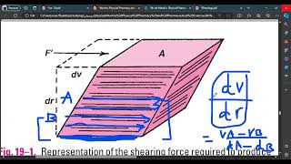 Physical pharmacyRheology viscosity and fluidity [upl. by Izak]