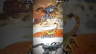 Emperor scorpion vs Deathstalker scorpion vs Asian forest scorpion debates [upl. by Lyrret]