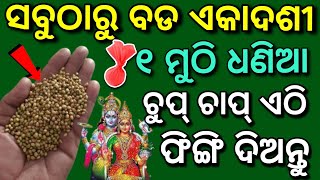 12 November bada ekadashi 2024 ବଡ଼ ଏକାଦଶୀ ୧ମୁଠା ଧଣିଆ ଏଠି ଫିଙ୍ଗିନ୍ତୁ ଧନ ବଢ଼ିବEkadashisadhubani [upl. by Nuhsyar]