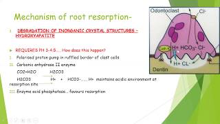 Dental root resorption [upl. by Eamanna]