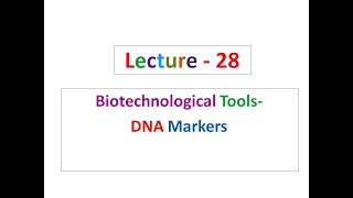 Lecture 28 Plant Breeding [upl. by Dnomsaj]