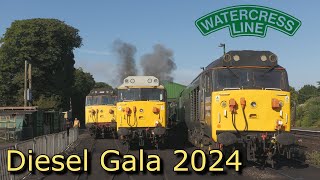 Watercress Line Diesel Gala 2024  The Highlights [upl. by Novets]