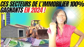 Les SECTEURS de lIMMOBILIER ou INVESTIR en 2024 en Afrique [upl. by Nevada]