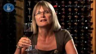 WSET 3 Minute Wine School  South Africa presented by Jancis Robinson MW [upl. by Nananne]