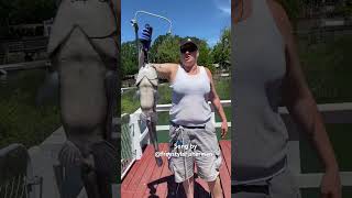 Fish on Again Catching big catfish Song by Freestylefisherman Love his music [upl. by Levram408]