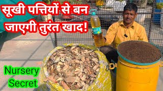 How to fast make Leaf Compost at home 🏡 🤔 [upl. by Agate]