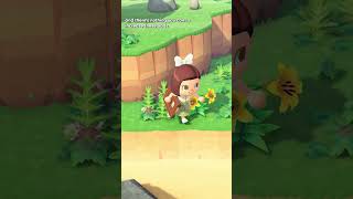 Finding RARE Dreamies animalcrossingnewhorizons animalcrossing cozygaming [upl. by Nivlak]