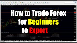 Forex Trading for Beginners  Live Analysis [upl. by Anniram]