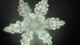 Japan National Anthem Water Crystal [upl. by Lisette]