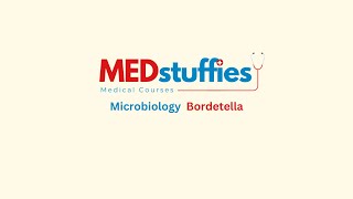 Microbiology  Bordetella [upl. by Jaf]