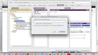 Protege How to add individuals [upl. by Culhert947]
