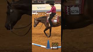 AQHA World Show 2024  L3 Select Trail [upl. by Enilemme]