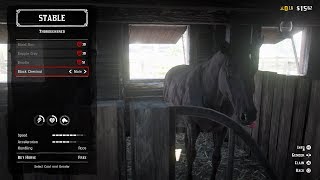 AN ENCOUNTER WITH THE NATIVES  Red Dead Redemption 2 Roleplay Goldrush RP [upl. by Lune]