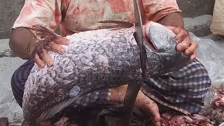 Amazing Fish Cutting Skills10Kg Big Rohu Fish Cutting Skills In Bangladeshi Fish Market Dhaka😱🇧🇩 [upl. by Tansey]