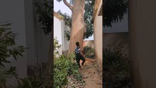 Patra wood cutting very dangerous song music babunavisual teambabushaanmohanty [upl. by Neehahs932]