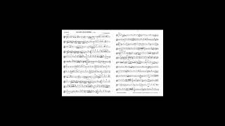 Danze Ungheresi N°5 e 6  Brahms AdattLoreto Perrini [upl. by Anar]