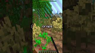 I Played Minecrafts HARDEST Server [upl. by Publus]