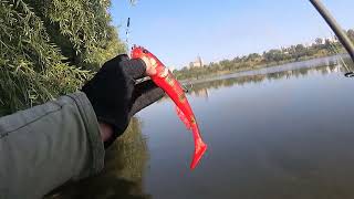 Goby Shad Savage Gear Карьер в городе [upl. by Salesin]