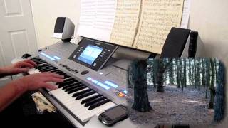 ORGAN amp PIANO FOXTROT PLAYED ON THE TYROS 4 BY ROGER DIEHLmp4 [upl. by Cavit922]