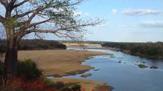 Experiencing Chilo Gorge Safari Lodge Gonarezhou Zimbabwe [upl. by Ateuqal]