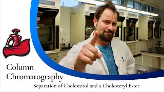 Column Chromatography of Cholesterol and a Cholesteryl Ester [upl. by Buote]