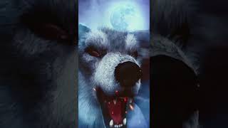 wolfsounds nature animals wolfsong wolf music forest relaxinwolf 1million [upl. by Ayanat]