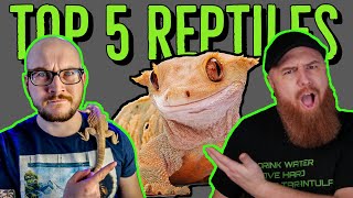 Top 5 REPTILES YOU NEED w Wickens Wicked Reptiles [upl. by Roel]