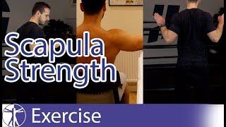 Scapula Strengthening Exercises  Early Shoulder Rehab [upl. by Rasec]