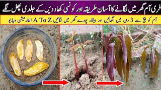 Best Tips To Grow Mango From Seeds At Home Garden  Aam ko guthali se ugane ka Tariqa [upl. by Narhem]