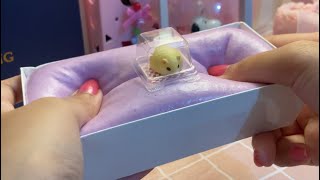 Japanese Gachapon Squeeze Toy amp Slime Cake Squishy  Squishy ASMR Haul Unboxing Part 21 [upl. by Rodenhouse]