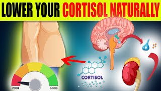 Signs of high cortisol levels and how to lower it naturally [upl. by Ymij]