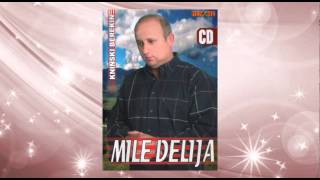 Mile Delija  Momak sa Banije  Audio 2006 [upl. by Monetta]