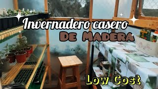 Invernadero CASERO de madera  low cost [upl. by Elwyn687]