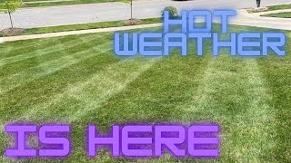 HOT Weather Dos and Donts for your LAWN [upl. by Bette-Ann772]